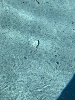 IMG_3770.jpeg