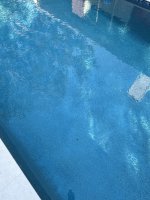 IMG_2993.jpeg