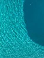 IMG_4532.jpeg