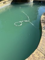 GreenPool20241026.jpg