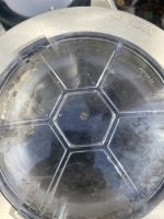 IMG_4315.jpeg