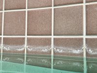 IMG_5520.jpeg