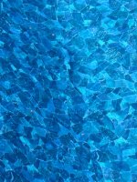 IMG_9133.jpeg IMG_9133.jpeg