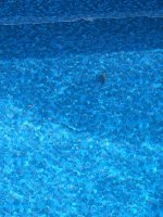 IMG_9132.jpeg