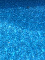 IMG_9131.jpeg