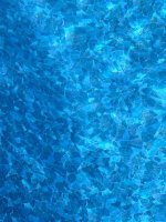 IMG_9130.jpeg