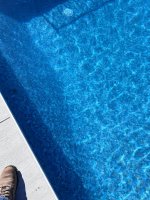 IMG_9129.jpeg