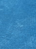 IMG_4709.jpeg