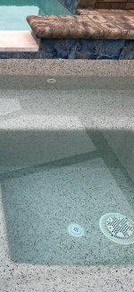 Pool drain_smaller.jpg