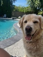 pool7.jpg