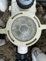 IMG_5029.jpeg