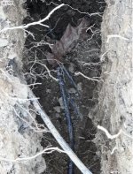 Trench 5.jpg