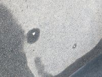 20240502_203411603.jpg