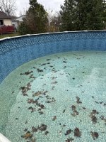 empty pool.jpg