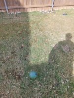 20241127_121805.jpg 20241127_121805.jpg