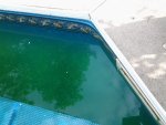 Green-pool.jpg Green-pool.jpg