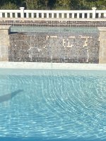 IMG_6297.jpeg