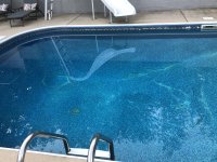 IMG_2028.jpeg