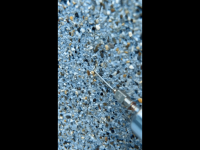 IMG_0179.png