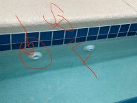 IMG_4650.jpeg