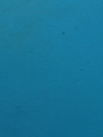 IMG_2254.jpeg
