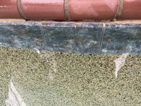 IMG_8080.jpeg