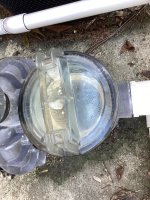 IMG_2085.jpeg