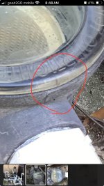 IMG_2180.jpeg