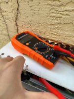 IMG_3172.jpeg