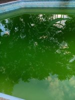 pool1.jpg