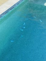 Waterline Tile Pops - 5 of 6 Large.jpeg