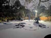 Freak Snowfall Jan 2025.jpg