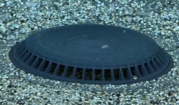 Drain Close-up.jpeg
