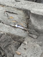 IMG_5389.jpeg