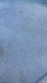 IMG_5352.jpeg