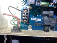 IMG_2555.jpeg