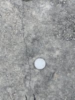 IMG_3695.jpeg
