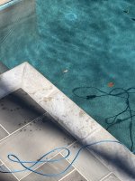 IMG_7621.jpeg