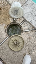 IMG_4194.jpeg