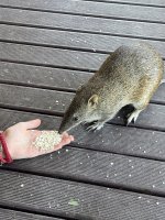 IMG_6246.jpeg