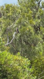 IMG_4455.jpeg