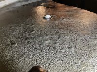 IMG_2120r.jpeg