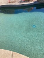 IMG_0770.jpg