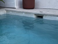 IMG_3720.jpeg