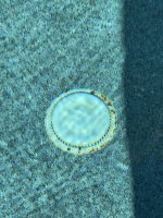 IMG_3384.jpeg