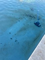 IMG_6065.jpeg