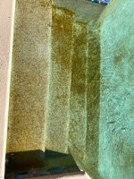 image4.jpeg