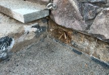 IMG_5040.jpeg