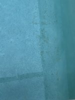 IMG_5803.jpeg