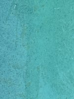 IMG_5809.jpeg